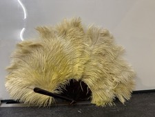 Lovely Vintage Ostrich Feather