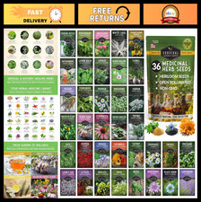 Heirloom Medicinal Herb Seeds Variety Pack - 36 Non-GMO Healing Herbs for Garden
