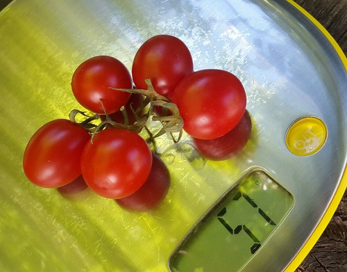 10 graines de tomate CANNEBERGE SUCREÉ une récolte magnifique pas besoin de ta - Picture 8 of 9