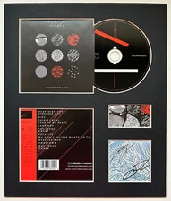 TWENTY ONE PILOTS - Signed Autographed - BLURRYFACE - Album Display