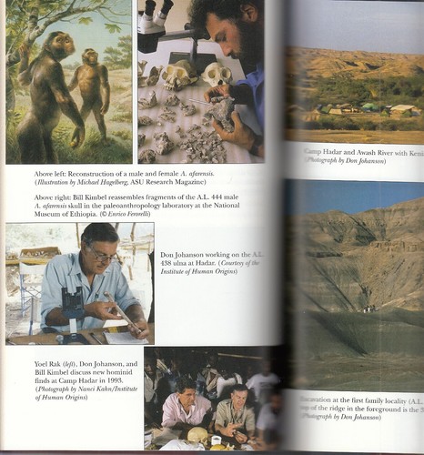 Lucy's Legacy : The Quest for Human Origins by Donald Johanson (2009) HC/DJ 1ST - Picture 5 of 6