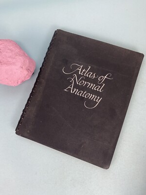 Atlas of Normal Anatomy Vintage 1956 Lederle Laboratories American Cyanamid CO.