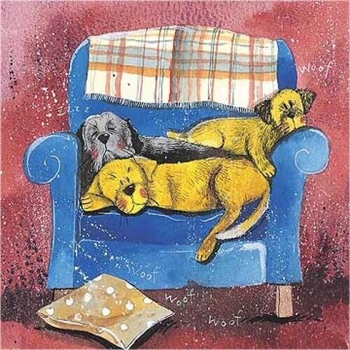 funny dog card king of castle card Alex Clark