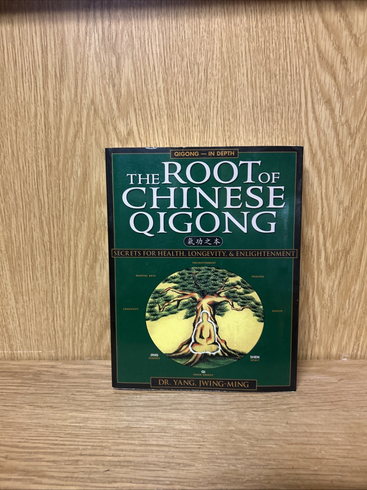 The Root of Chinese Qigong: Secrets of Health, Longevity, &  (4829)