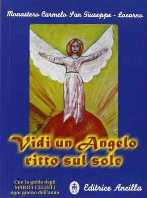 Paola Meneghett Vidi un angelo ritto sul sole. Con la guida degli sp (Paperback)