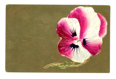 Vintage Postcard  FLOWERS PINK AND WHITE FLOWER PANSY GOLD  EMBOSSED  UNPOSTED