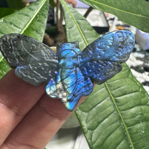 Labradorita Natural Cara Fantasma Polilla Espécimen Cuarzo Calavera Cristal Reiki Curación - Imagen 6 de 20