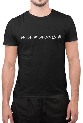 Lustiges T-Shirt Harambe Friends Style inspiriert Unisex lustig