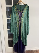 Spirit Disney Hocus Pocus Winifred Sanderson Adult 2X Halloween Witch Costume