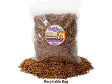 2lb Chubby Mealworm  Black Soldier Fly Larvae Mix Chicken, Duck  Bird Treat