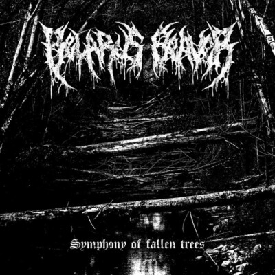 Belarus Beaver CD: ''Symphony of Fallen Trees'' 