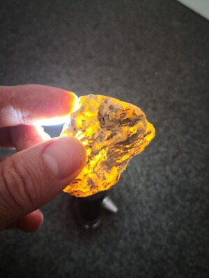 New Zealand Kauri Gum young amber copal high quality carving piece