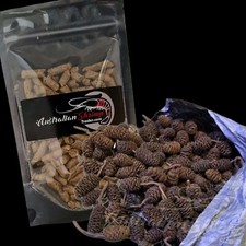 20x  Alder cones, + Shrimp Snow Aquarium Shrimp Tank Betta,  