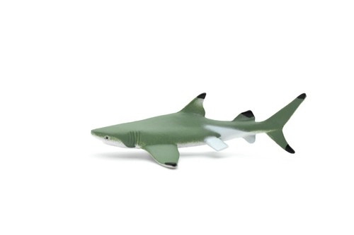 Black Tip Reef Shark, Very Nice Plastic Replica 3" - F233 B76 - Picture 5 of 8