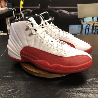 jordan 12 adult