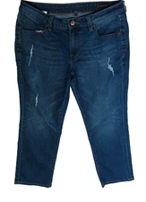 Jag Jeans Size 14 Petite Distressed Relaxed Boyfriend Inseam 26"