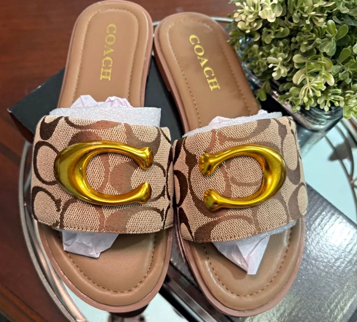 新品 コーチ 6.5 23.5 サミー レザー スライド ミュール ブラウン Coach Leather Upper Slide Sandals for Women for sale | eBay