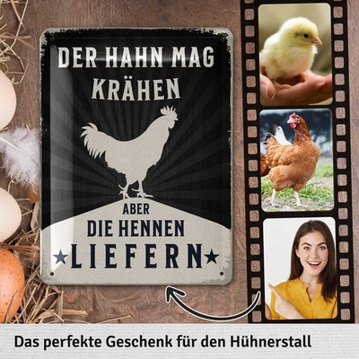 Blechschild HÜHNERSTALL Schild Hühner Geschenk Farmhouse Deko Metall 15x20 cm