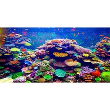 AWERT Undersea Theme Aquarium Background 48x18 inches Vinyl Colorful Coral Tr...