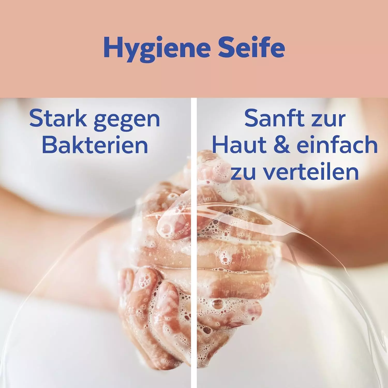 Bild 3 von 9