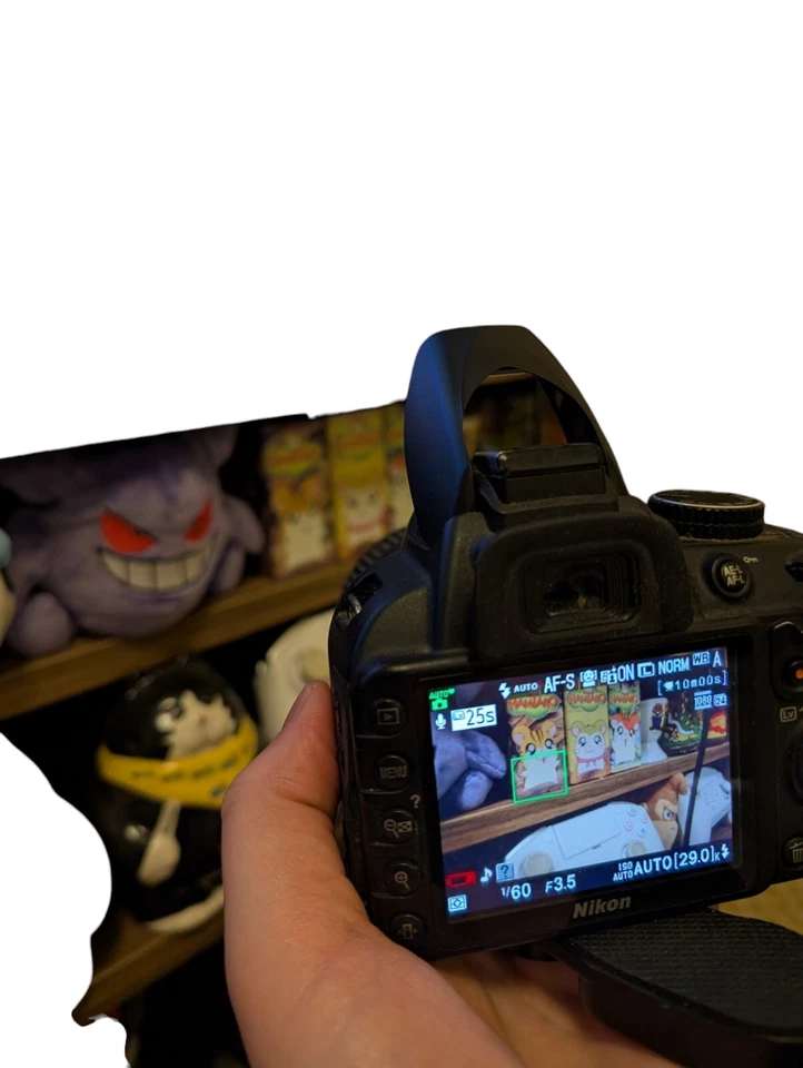 Nikon D3100, photo 4 of 4