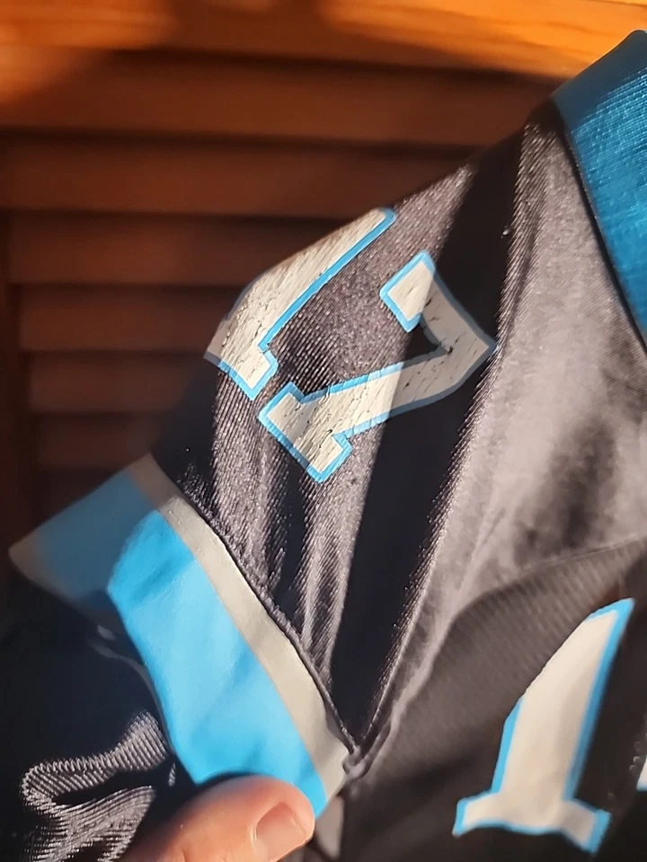 Camiseta deportiva Jake Delhomme #17 Carolina Panthers Reebok On Field talla juvenil grande L  Foto 3 de 4