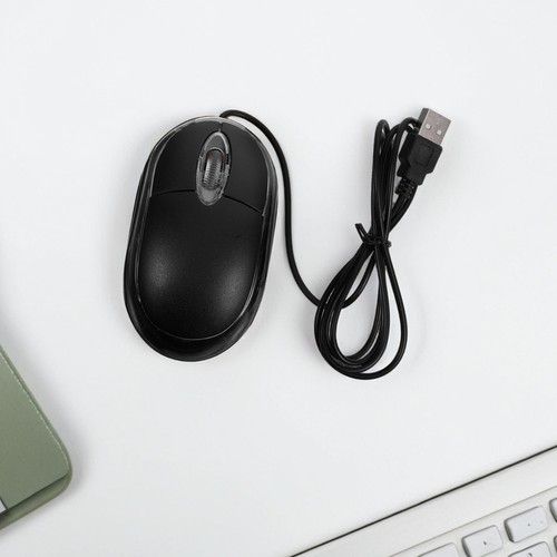 Silent Click USB Mouse Office Portable Optical for Laptop Desktop Computer - 第 12/12 張圖片