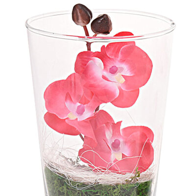 Knstliche Orchidee in Glas Vase Kunstblumen Kunstpflanzen Orchideen Blumen  | eBay.de