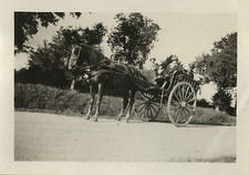 PHOTO ANCIENNE - VINTAGE SNAPSHOT - CHEVAL ATTELAGE CHARRETTE CALÈCHE - HORSE