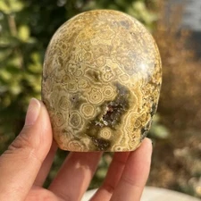 240g Natural Ocean Jasper Free Form Mineral Crystal Healing