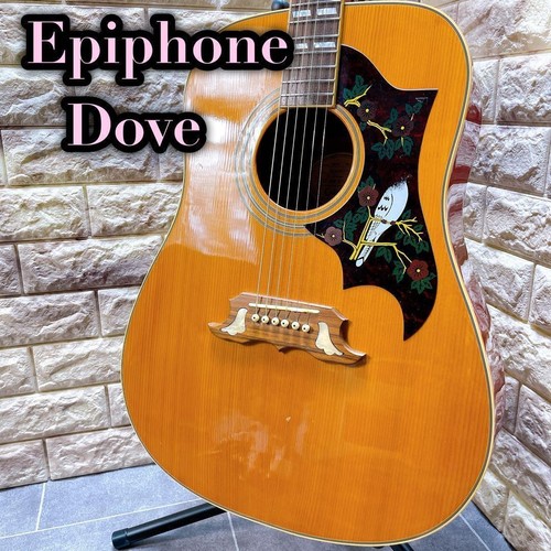 Epiphone acoustic guitar Dove Musical Instruments