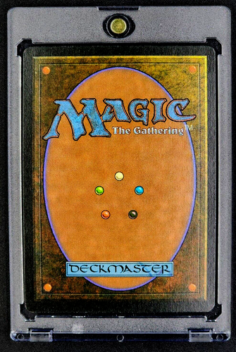 1995 MTG Magic The Gathering Italian Legends Arciere di D'Avenant Archer - Picture 2 of 11