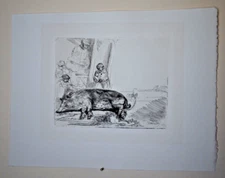 THE HOG 1643, Hand Pulled Etching (Heliogravure or Photogravure) After Rembrandt