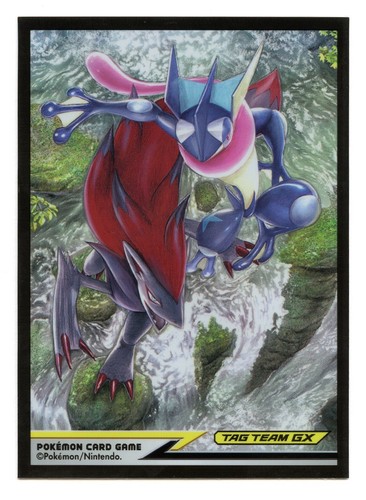 2019 Zoroark & Greninja Tag Team GX Individual Card Sleeve Pokemon Center Japan - Picture 1 of 2