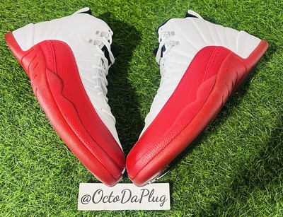 Nike Air Jordan 12 Retro Cherry Red Mens Sizes CT8013-116