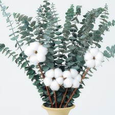 22Pcs Dried Eucalyptus Stems with Cotton, 17" Real Preserved Eucalyptus Bouqu...