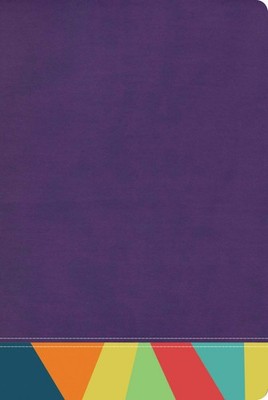 Reina Valera 1960 Biblia de Estudio Arcoiris, morado/multicolor