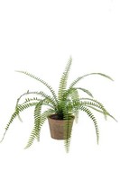 Artplants Kunstpflanze Schwertfarn Garibaldi Im Terracottatopf, GrüN, 60Cm