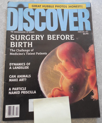 DISCOVER Magazine, FEBRUARY 1991, SURGERY BEFORE BIRTH, PARTICLE NAMED PRISCILLA