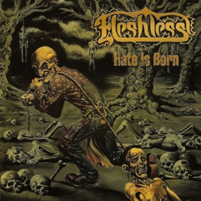FLESHLESS - Hate Is Born CD