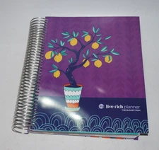 LIVE RICH PLANNER Budget Mom Undated Monthly Calendar + Finance Stickers