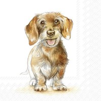 IHR Servietten Fritz | Brown | 33 X 33 Cm | Tissue - 3 Lagig | 20 Servietten