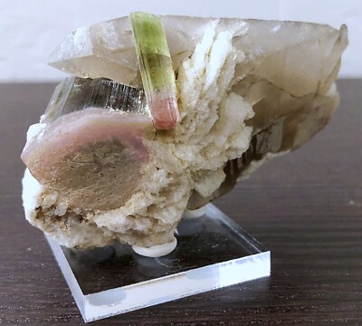 WOW!! Dual ''Bi-Colored'' TOURMALINE CRYSTALS on SMOKEY QUARTZ + CLEVELANDITE