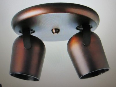 Progress Lighting Two-Light Multi Directional Roundback Wall/Ceiling Fixture