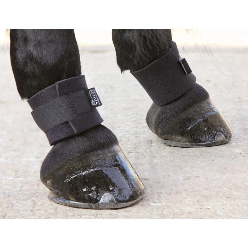 Pastern boots shop