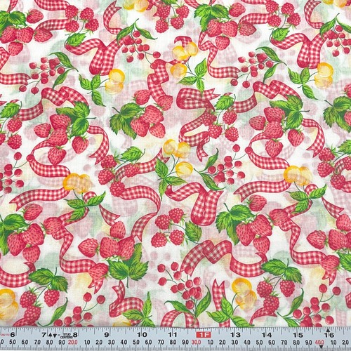 Vintage Fruits & Gingham Ribbons Unbranded Cotton Blend Fabric Remnant 15" x 45" - 第 1/2 張圖片