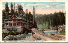 Pier Lodge and Spring Gulch, Rapid Canon Black Hills SD Vintage Postcard G19