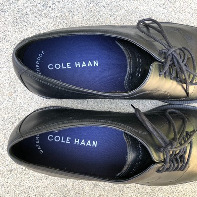 COLE HAAN Dress Shoes Men display picture 2