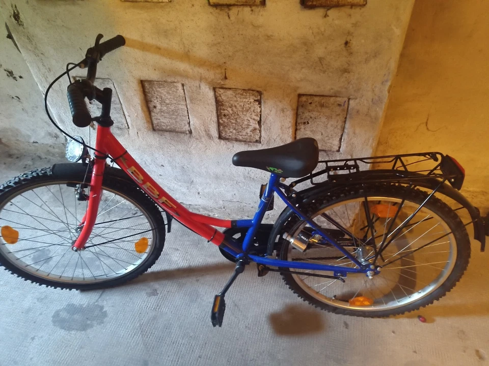 Kinderfahrrad für größere Kinder Jungen Mädchen 20 Zoll Gebraucht (5-12 Jahre)