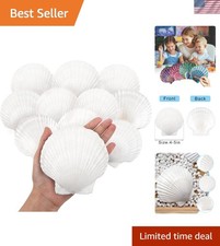Versatile 10PCS Scallop Shells 4''-5'' - Perfect for Crafts, Cooking Decor